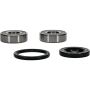 Pivot Works 25-1380-P Wheel Bearing Kit