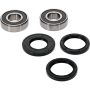 Pivot Works 25-1558-P Triumph Wheel Bearing Kit Premium Bearings