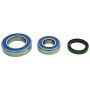 All Balls Racing 14-1085 16-17 Ski-Doo Freeride 800R ETEC Jack Shaft Bearing & Seal Kit Upper Shaft