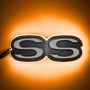 Oracle Lighting 3095-005 Amber Illuminated SS Emblem