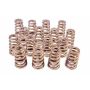 PAC RACING SPRINGS PACPAC-1427-16 1.454 Valve Springs - Ovate Beehive (16)