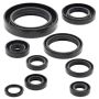 Vertex Pistons 822177 Vertex Gaskets 02-04 Honda CR250R Oil Seal Kit