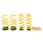 ST Suspensions 273800BT ST Adjustable Lowering Springs Volkswagen Arteon (3H) 4motion