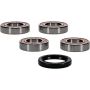 Pivot Works 25-1668-P Ducati Wheel Bearing Kit Premium Bearings