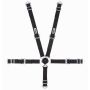 5-Pt Harness 2in Cam Lock Blk Pull Up
