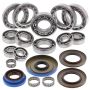 All Balls Racing 25-2103 2019 Polaris Sportsman 570 X2 EPS EU Transaxle Bearing & Seal Kit