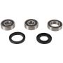 Pivot Works PWRWS-K11-000 01-05 Kawasaki ZR750 (ZR-7S) PW Rear Wheel Bearing Kit