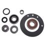 OMIX 18806.10 Bearing and Seal Overhaul Kit AX15