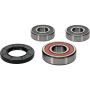 Pivot Works 25-1272-P Suzuki Wheel Bearing Kit Premium Bearings