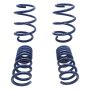FORD FRDM5300-W Lowering Spring Kit Mustang GT350 15-18