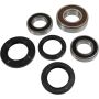Pivot Works 25-1392-P Wheel Bearing Kit