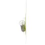 Philips 57LLB2 Philips LongerLife Miniature 57LL