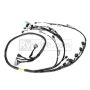 Rywire Honda K-Series Tucked Budget Engine Harness