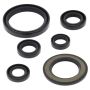 Vertex Pistons 822338 Vertex Gaskets 06-23 Yamaha YFM700R Raptor Oil Seal Kit