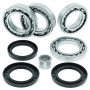 QuadBoss 414565 13-15 Arctic Cat Wildcat 1000 Rear Differential Bearing & Seal Kit