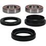 Pivot Works 25-1108-P Wheel Bearing Kit