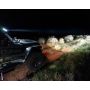 Oracle Lighting 5917-023 Integrated Windshield Roof LED Light Bar System for Wrangler JL / Gladiator JT