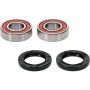 Pivot Works 25-1539-P Honda Wheel Bearing Kit Premium Bearings