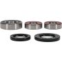 Pivot Works 25-1749-P Suzuki Wheel Bearing Kit Premium Bearings