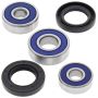 All Balls Racing 25-1176 80-83 Kawasaki KDX80 Wheel Bearing Kit Rear