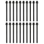 Ford Racing M-6067-M501280 5.0L/5.2L Coyote 12MM Long Head Bolt Kit