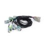 Haltech HT-186502 NEXUS Rebel LS EV6 Injector Sub-Harness