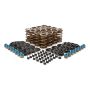 PAC RACING SPRINGS PACPAC-KS12 1.034 Valve Spring Kit GM LS - Hot Rod Series