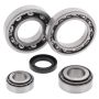 All Balls Racing 25-2019 86-87 Kawasaki KLF300A Bayou Differential Bearing & Seal Kit Rear