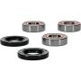 Pivot Works 25-1271-P Wheel Bearing Kit