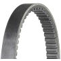Dayco HP2037 Atv Belt