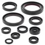 Vertex Pistons 822248 Vertex Gaskets 04-09 Honda CRF250R Oil Seal Kit