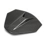 Anderson Composites AC-DA20CHC8-C decklid housing panel