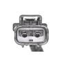 ACKOJA A26-01-0019 Electric Motor, radiator fan