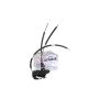 ACKOJA A38-85-0046 Door Lock