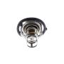 ACKOJA A38-99-0005 Thermostat, coolant