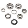 Hot Rods TBK0008 07-09 Honda CRF 250 R 250cc Transmission Bearing Kit