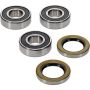 Pivot Works 25-1813-P BMW Wheel Bearing Kit Premium Bearings