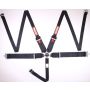 Racequip 745005 Black SFI CAMLOCK 5pt PD Lap HNR Seat Belt