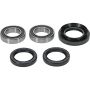 Pivot Works PWRWK-H52-000 90-91 Honda TRX200 PW Rear Wheel Bearing Kit