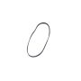Mopar 4627697AA Serpentine Belt