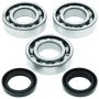 QuadBoss 414073 99-06 Polaris Trail Blazer 250 Crankshaft Bearing & Seal Kit