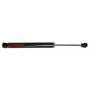 Rancho RS77381 RS7MT Shock Absorber