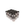 COMP Cams Pro-Magnum Hydraulc Lifters Fo
