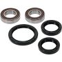 Pivot Works 25-1080-P KTM Wheel Bearing Kit Premium Bearings