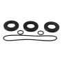 All Balls Racing 25-7108 00-02 Polaris Xplorer 250 4x4 Transmission Seal Kit