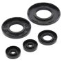 Vertex Pistons 55105 Vertex Gaskets 1985 Ski-Doo Formula MX Oil Seal Kit