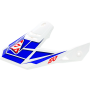 Answer 447156 Visors
