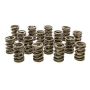 PAC RACING SPRINGS PACPAC-1924-16 Valve Springs - HR Series (16)