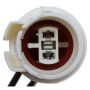 CARTER FUEL PUMPS P70091 Fuel Pump - Electric In Line