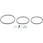 CARTER FUEL PUMPS P74107 In Tank Pump & Strainer Set